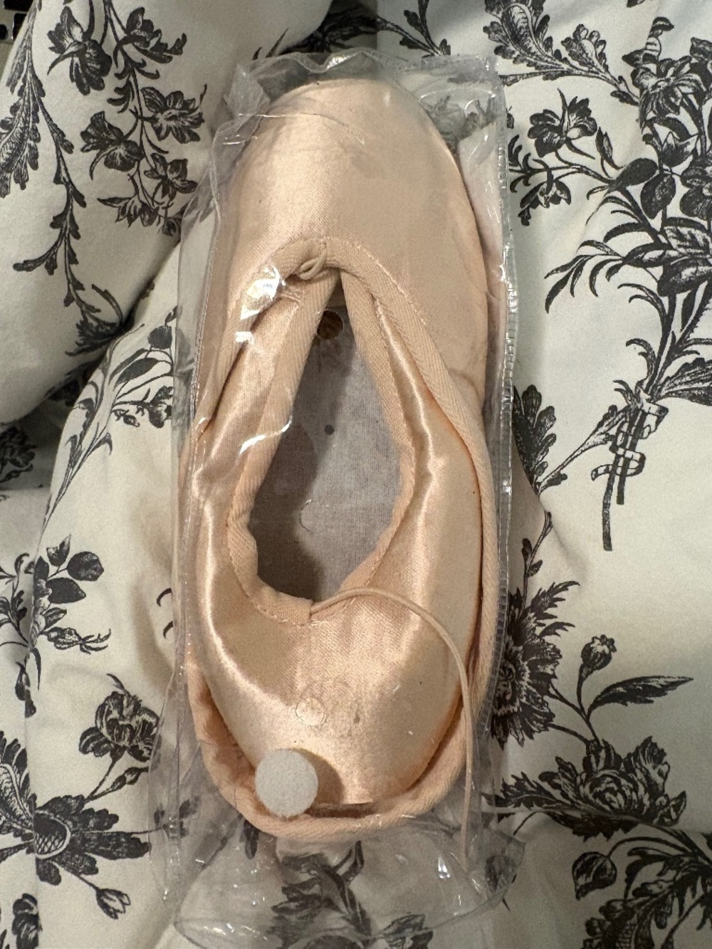 Nikolay Nova pointe shoes
